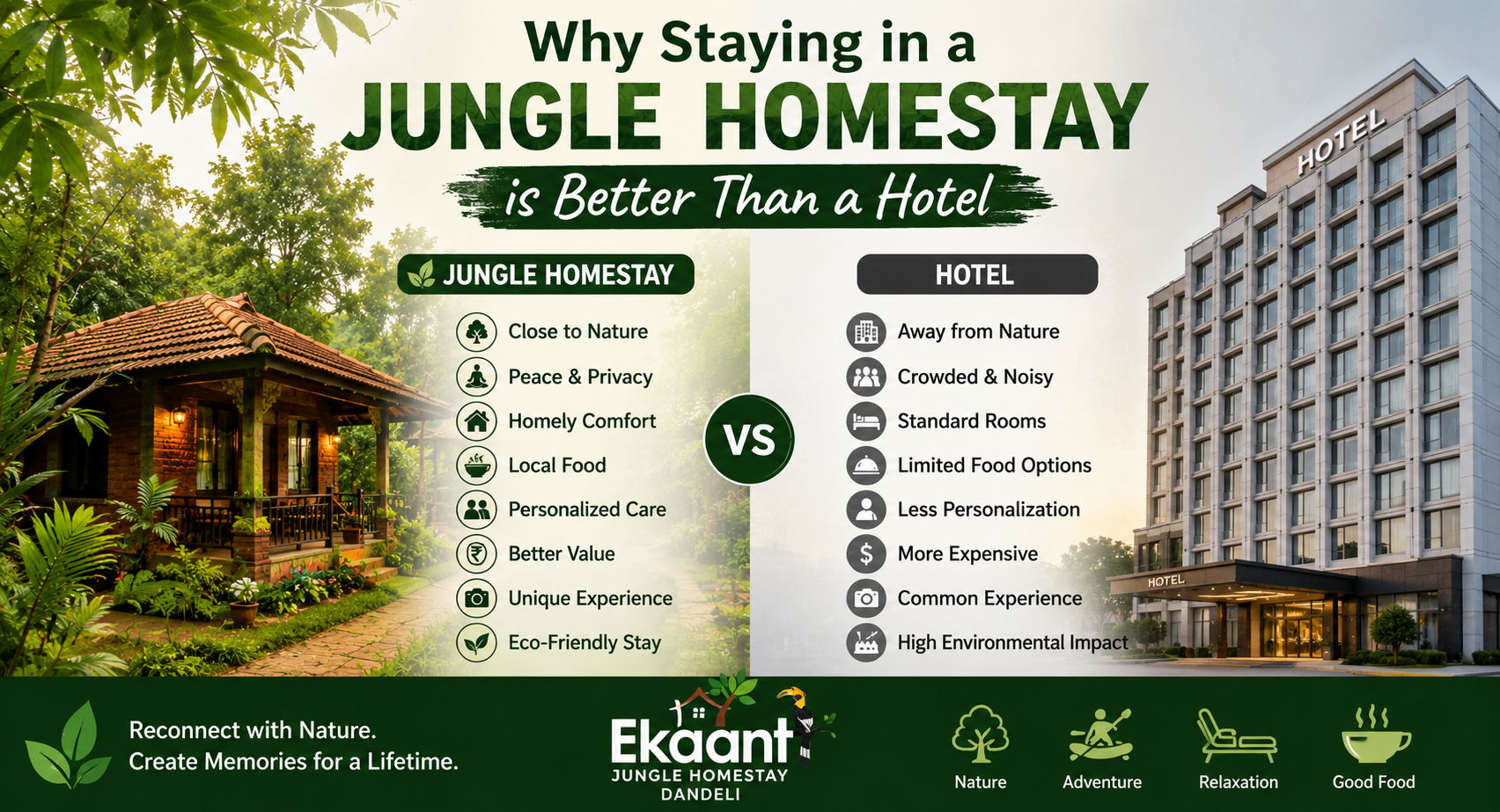 Why Staying in a Jungle Homestay is Better Than a Hotel